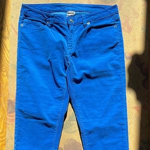 🌈 PATAGONIA Fitted Corduroy Pants in Oasis Blue - Size 31